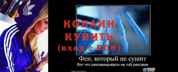 амф Гусев