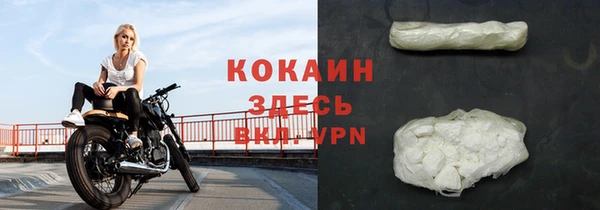 трава Гусиноозёрск