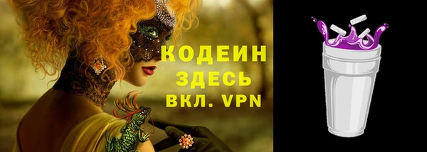 амф Гусев