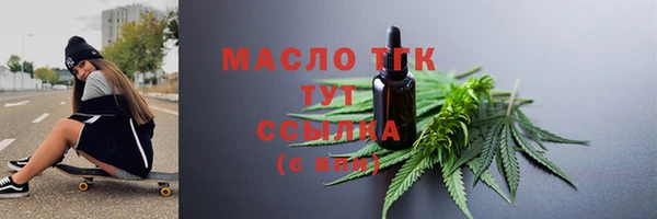 амф Гусев