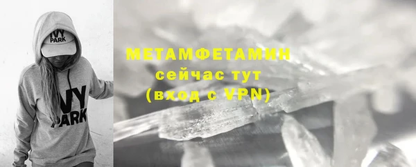 амф Гусев