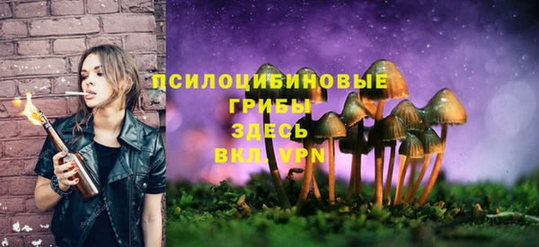 трава Гусиноозёрск