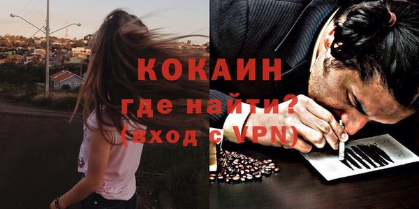 ешки Дмитриев