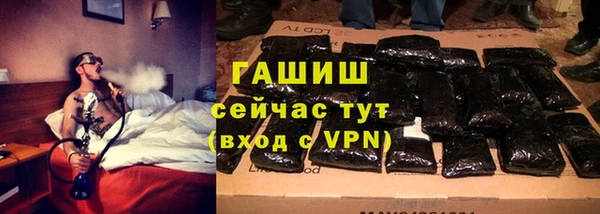 амф Гусев